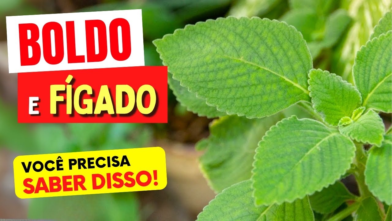 CH&Aacute; DE BOLDO e F&Iacute;GADO - O que voc&ecirc; PRECISA SABER!