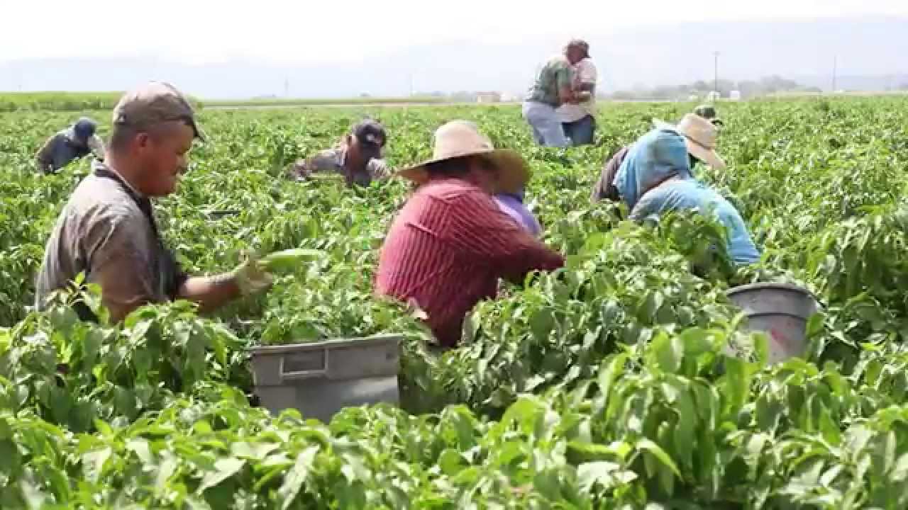 NM True TV - Season 3 - Episode 9: New Mexico Traditions