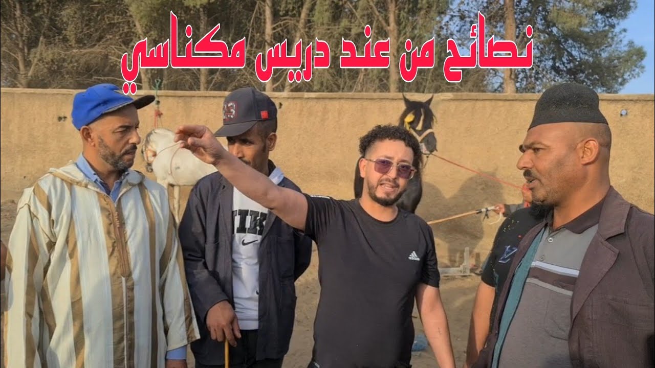 نصيحة من مقدم عربي طويبة و دريس مكناسي من فرنسا كيعطو نصائح قبل ماتشري عود عرف من عندمن تشري