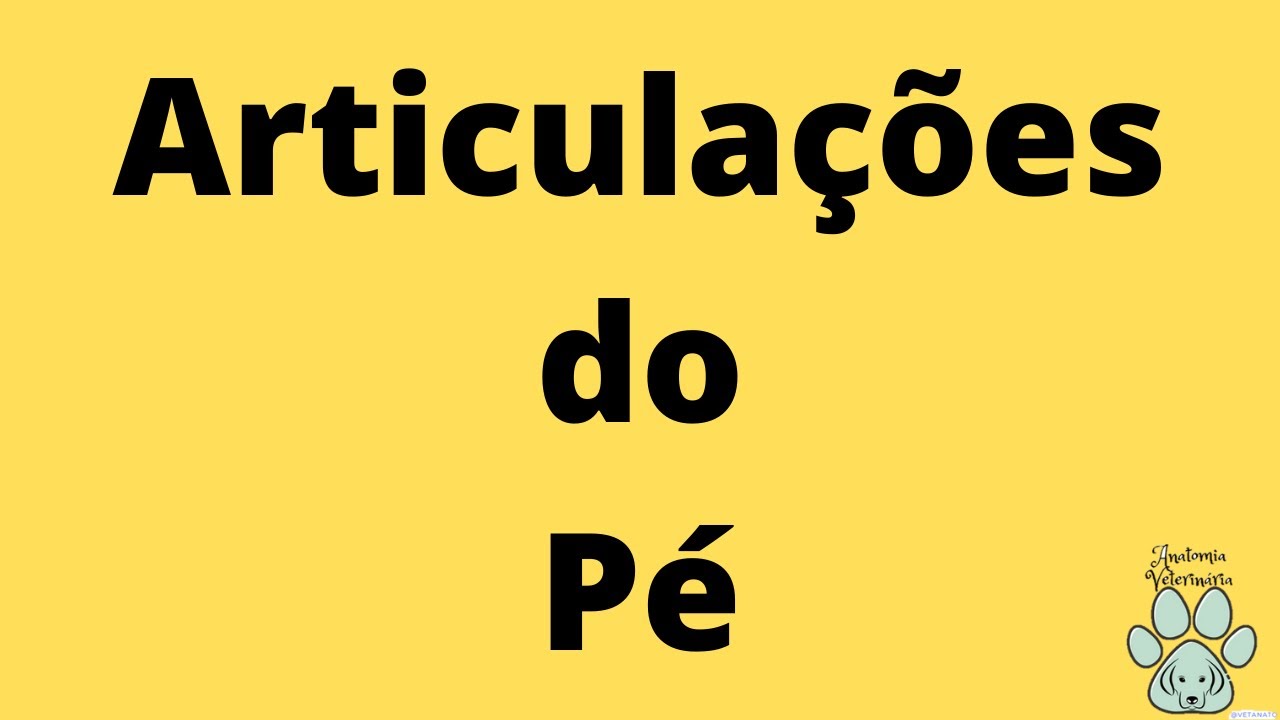 Articula&ccedil;&otilde;es do P&eacute;