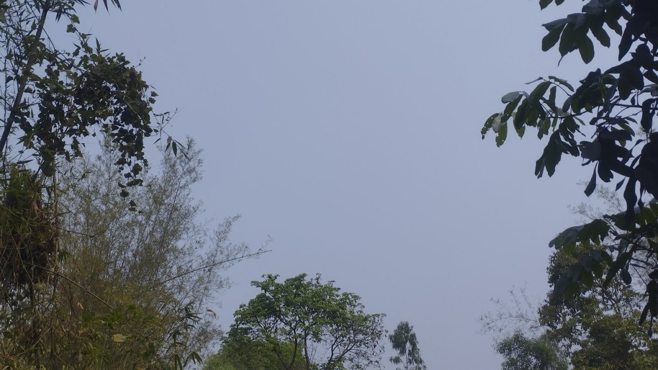 রান্নার ভুবন  is live