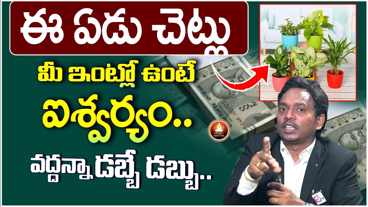 Top 7 Lucky Plants for Home | Lucky Plants For Home |Vastu Plants In Home ‪|Sheik Anwar #moneymantra