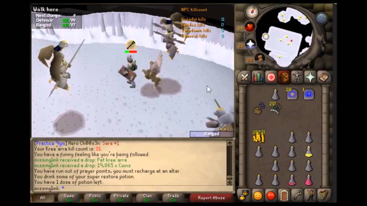 Insane Solo Arma Task [OSRS]