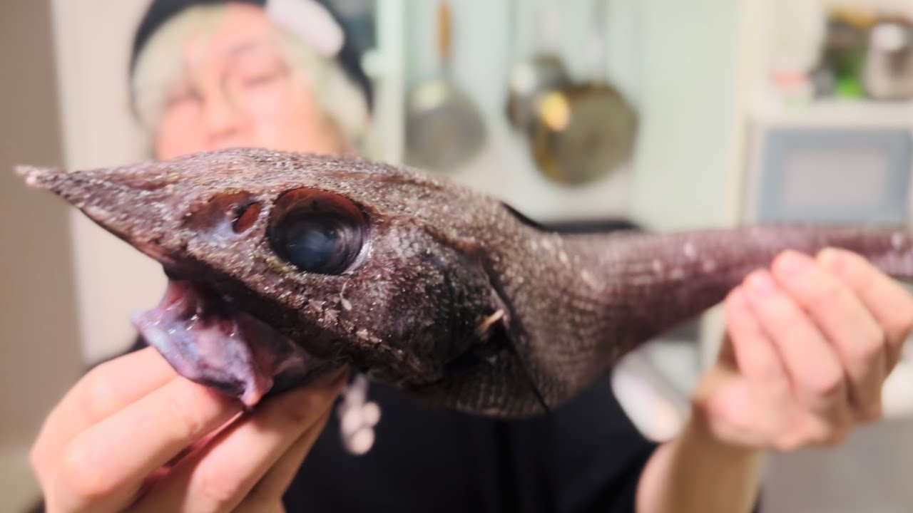 ホントは教えたくない安くて美味すぎる深海魚の食べ方【トウジン】