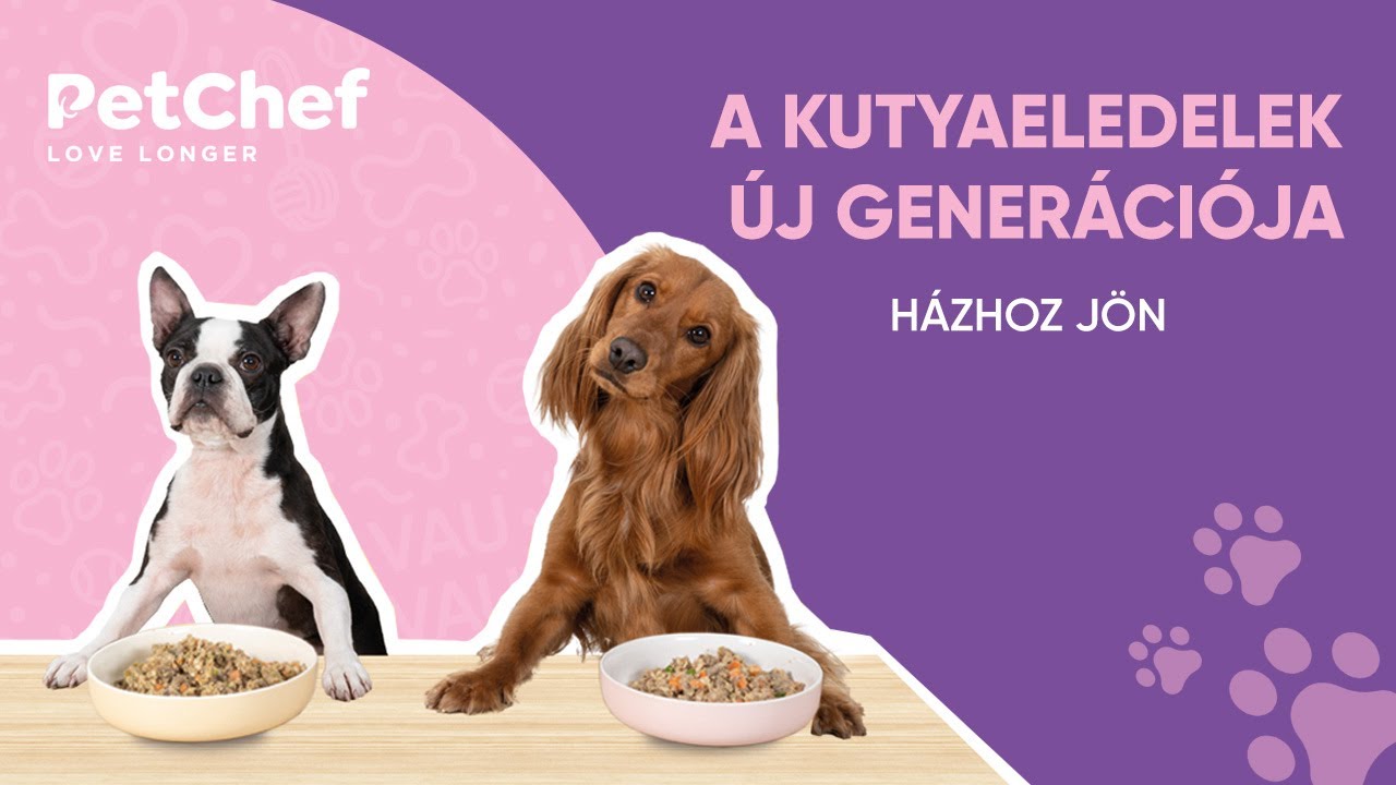PetChef - A kutyaeledelek &uacute;j gener&aacute;ci&oacute;ja h&aacute;zhoz j&ouml;n