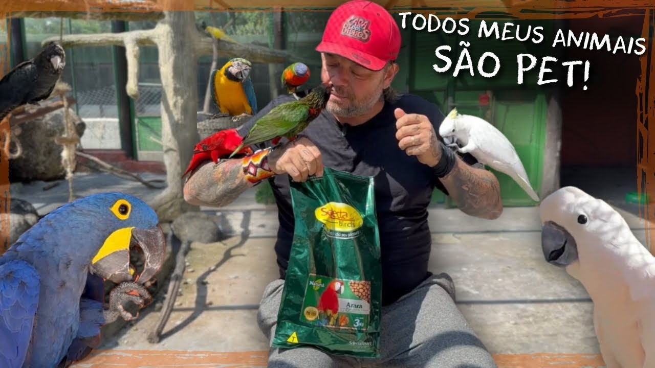A IMPORTÂNCIA DOS CRIADORES LEGALIZADOS | A CASA DOS BICHOS