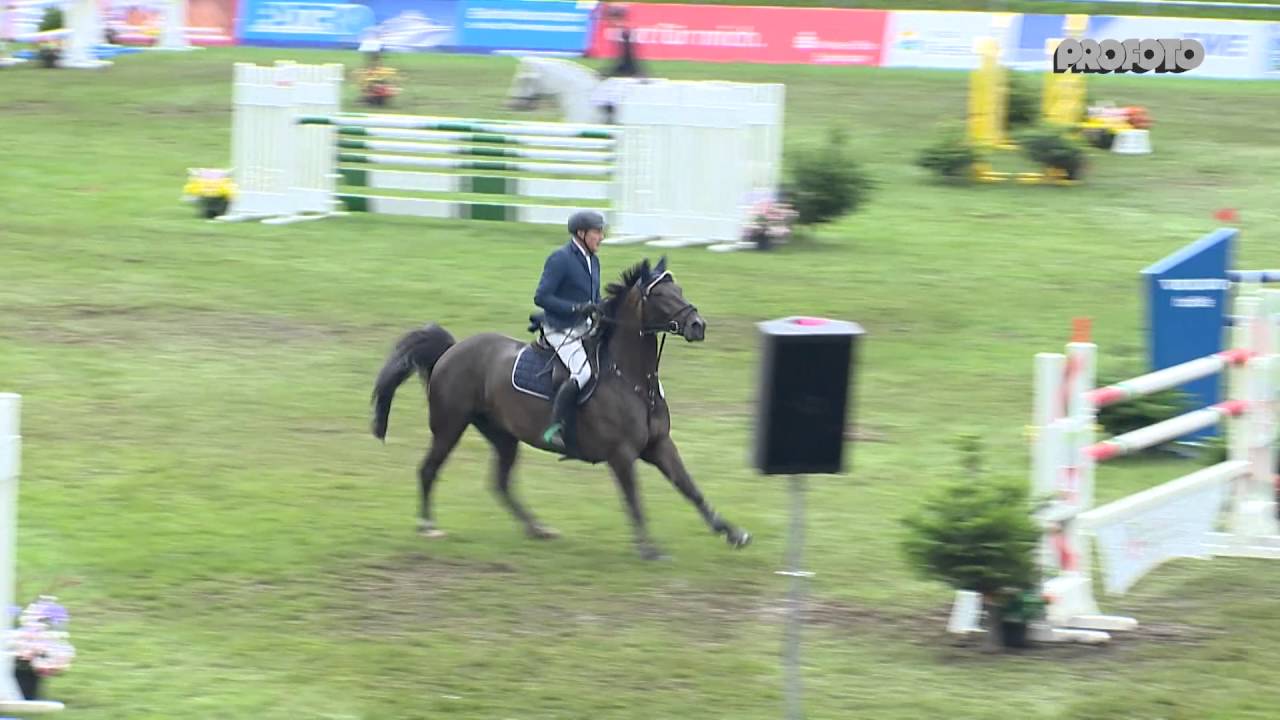 Otto Vaske m. Stakkato Special Elmlohe 2016 Pr. 38 2
