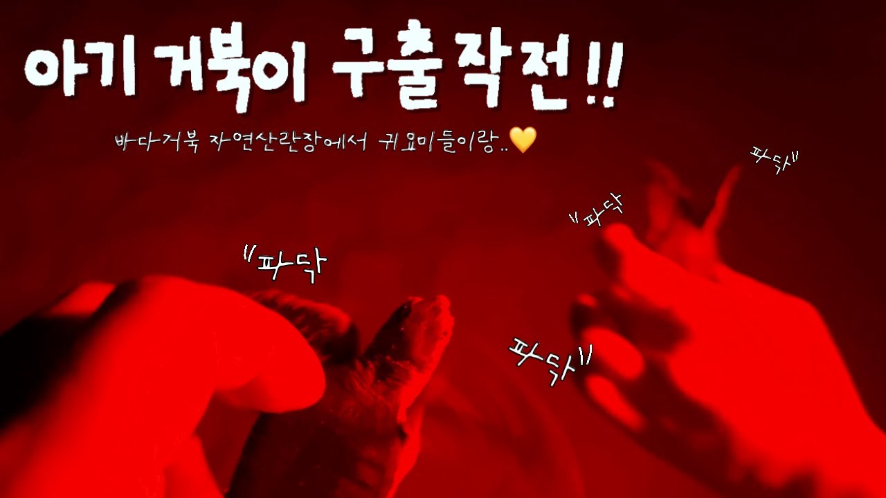 🇴🇲Ep36.신밧드가 모험할만했던 나라 오만 [거북이 자.연.산.란.장/사막캠프]