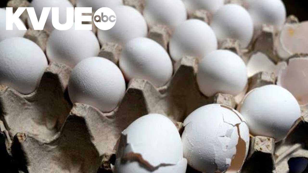Egg prices down across the US