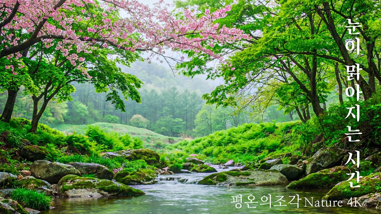 [4K UHD] 가장 순수한 초록의 위로: 눈과 마음을 씻어내는 청정 자연의 풍경 | 깊은 휴식과 시각적 힐링 | 평온의조각