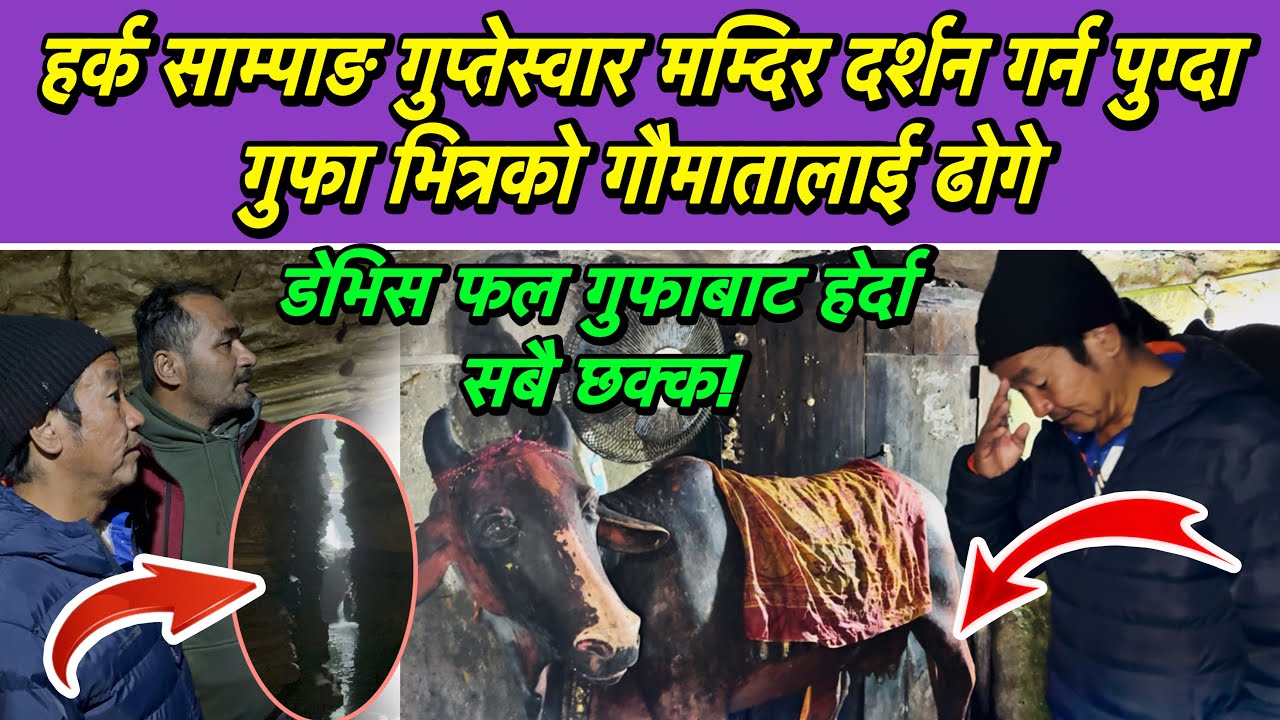 हर्क साम्पाङ गुप्तेस्वार मम्दिर दर्शन गर्न पुग्दा गुफा भित्रको गौमातालाई ढोगे, गुफाबाट गेर्दा डेभिस