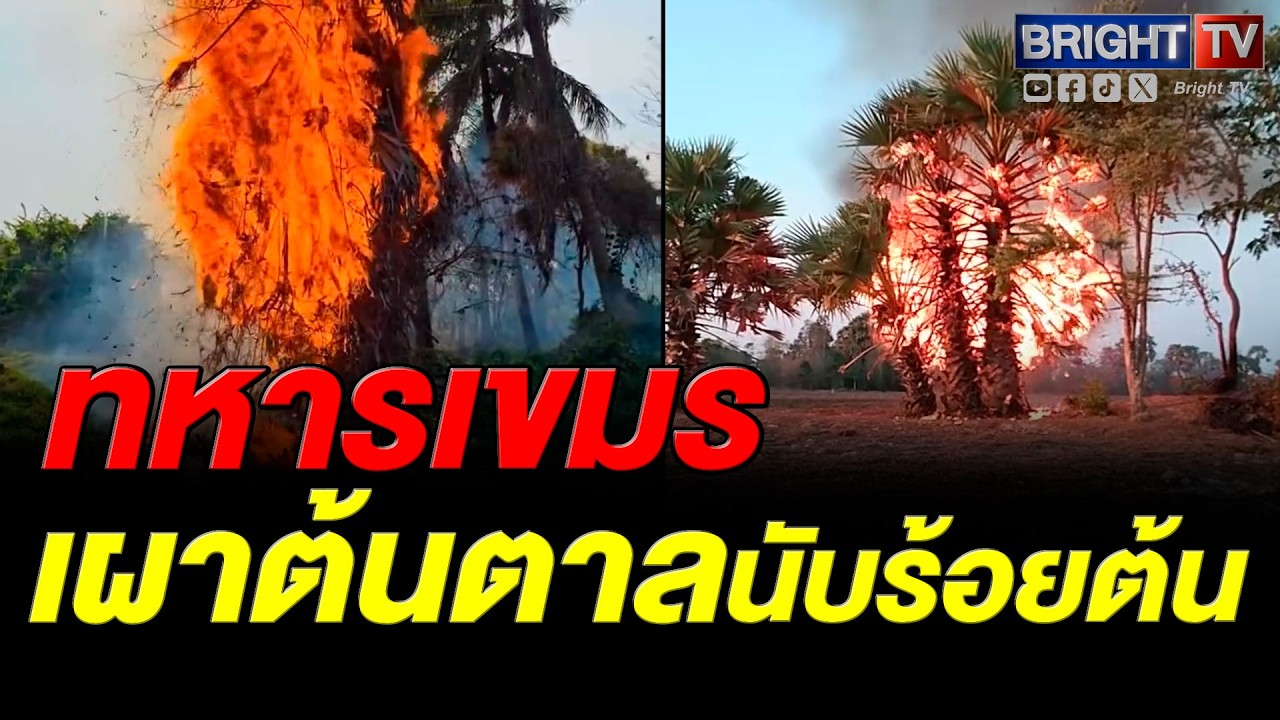 ทำไปทำไม? กลุ่มทหารเขมร เผาต้นตาล ไฟลุกท่วมนับร้อยต้น ก่อนสะเก็ดเศษเปลวไฟ ลามไปติดทุ่งนา