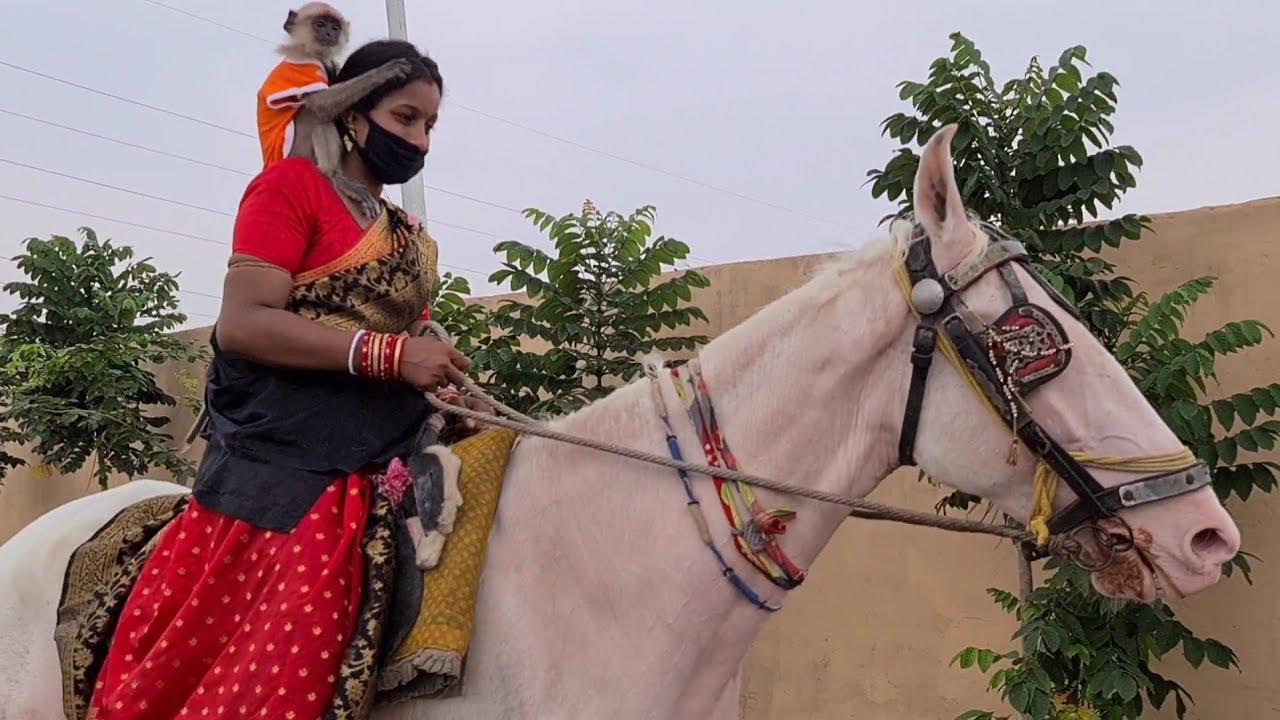 Woman's 🐎 Horse riding after 5 months distance Monalisa trying to encourage women and all .