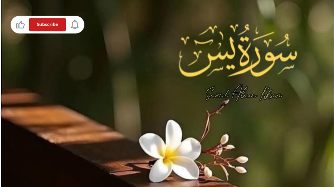 Surah Yasin | The Heart of the Quran | Beautiful Quran Recitation #quran #surah 