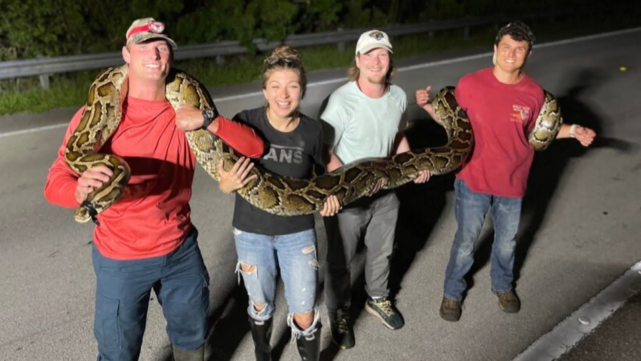 College Student Wrestles Massive 19-Foot Python