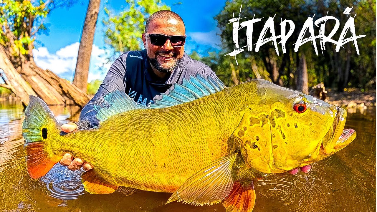 TUCUNARÉ COM A BOCA FECHADA ? Rsrs TE MOSTRO COMO FIZ PARA ABRIR. Pousada itapara