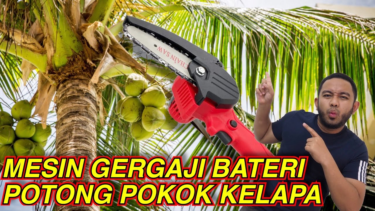 Review Mesin EP20: Mesin Gergaji Bateri, Pokok Kelapa Pun Tumbang!