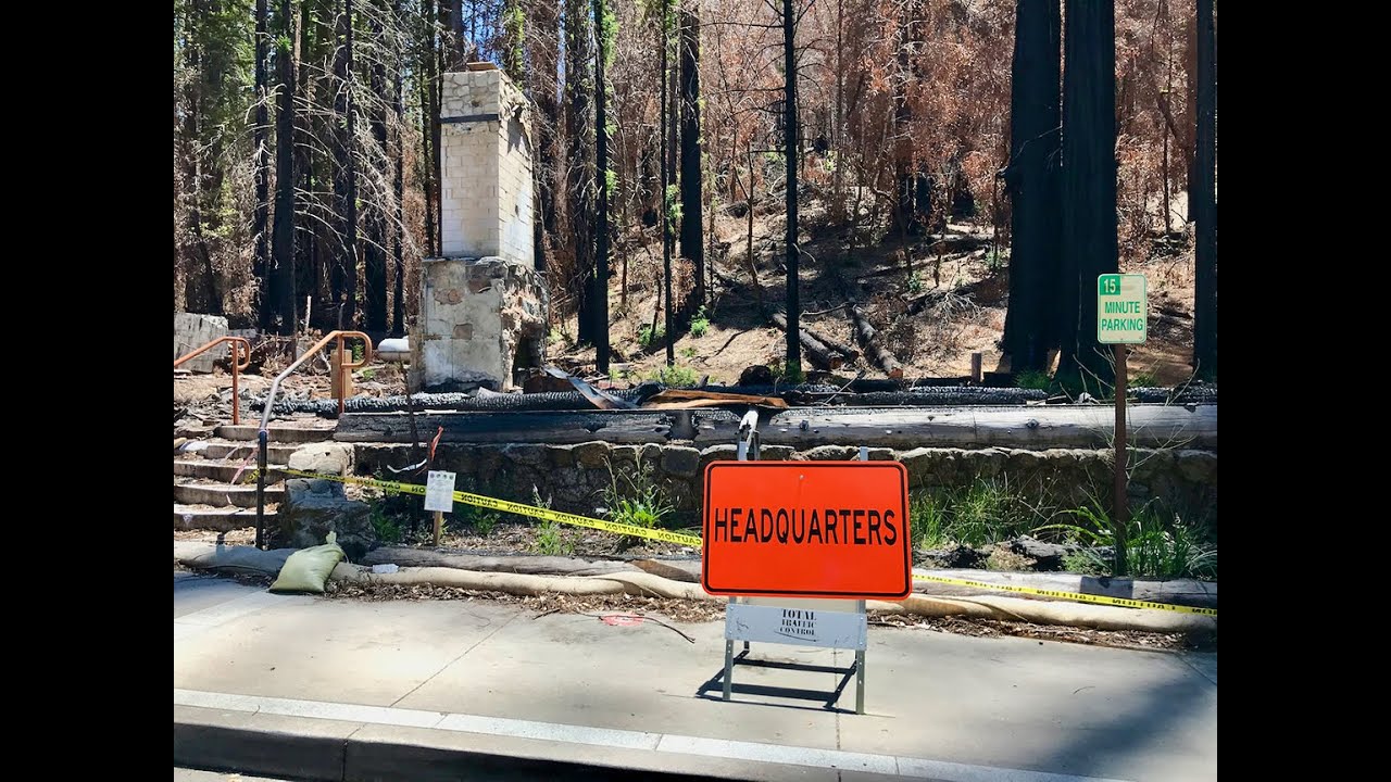 Recovery in Action at Big Basin Redwoods One Year after CZU Complex Fire Burns Park