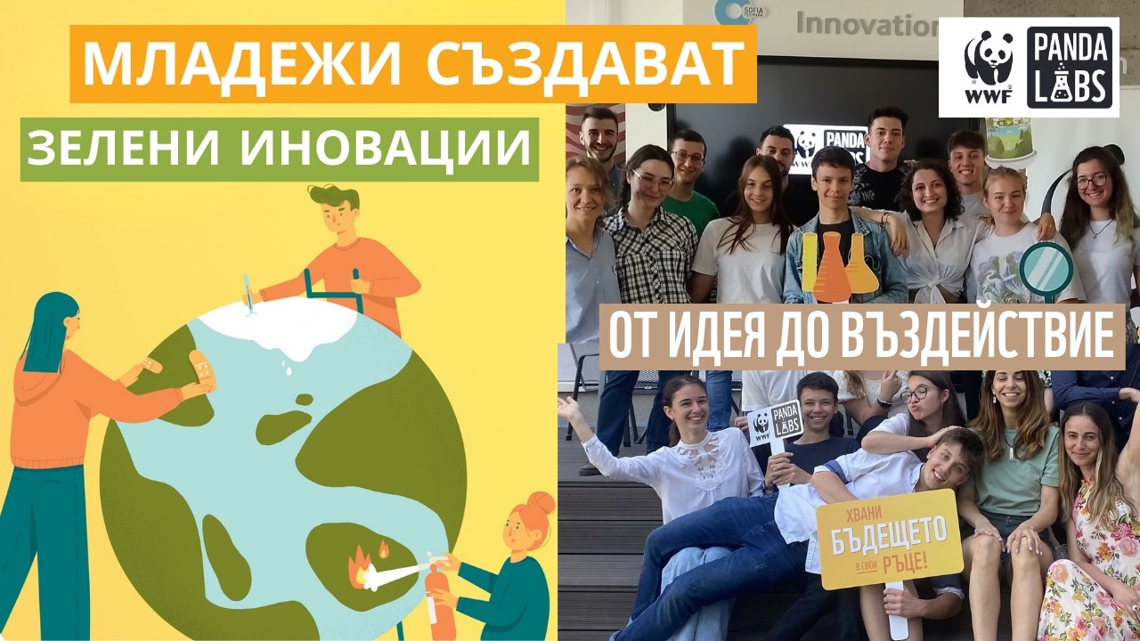 Как младите променят света • Panda Labs – програма за зелени иновации 🐼 | EN Subs