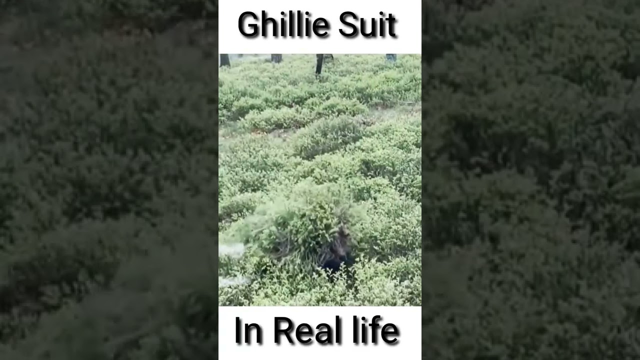 Ghillie Suit In real life 😍 #shorts #glycongaming #pubg #viral