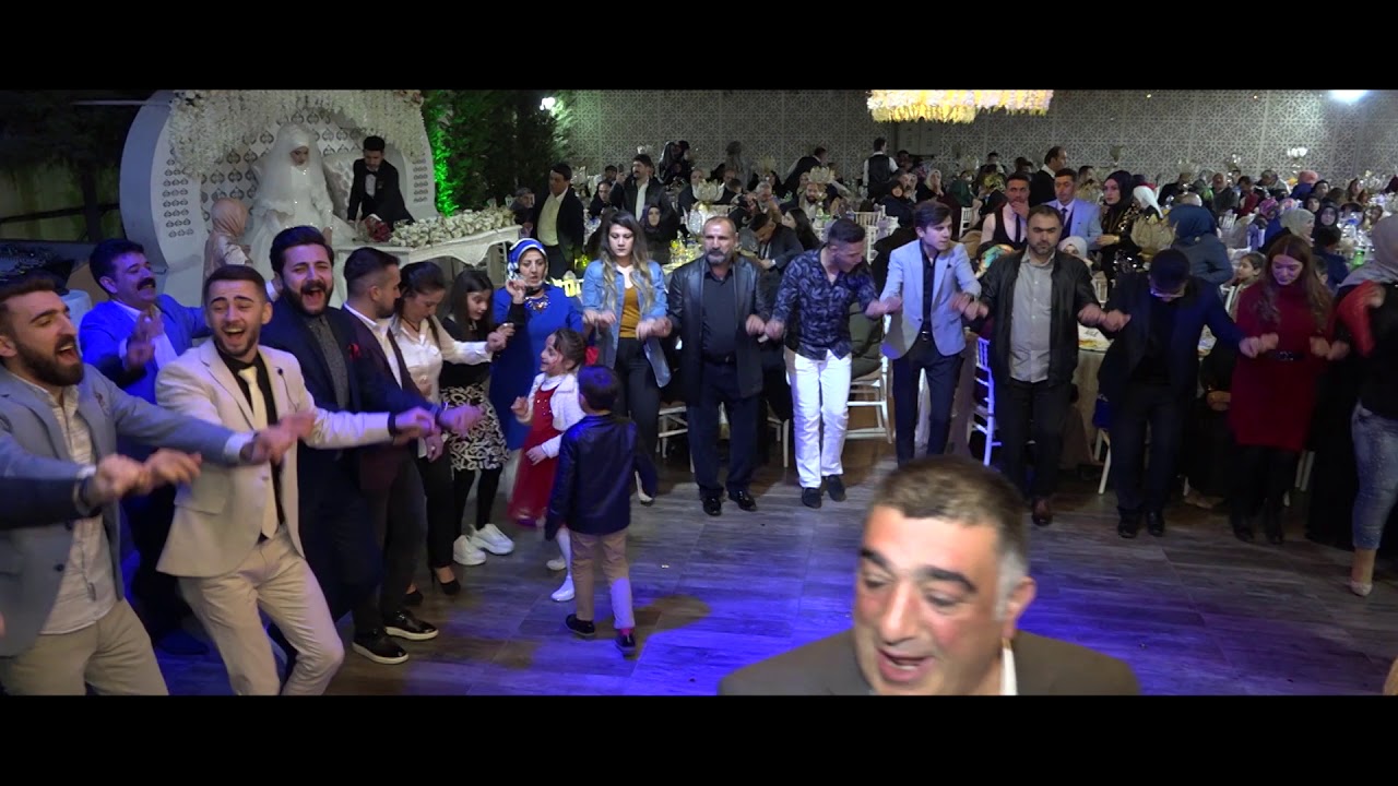Oğuzhan Doğan & Arı Ajans Halaylar