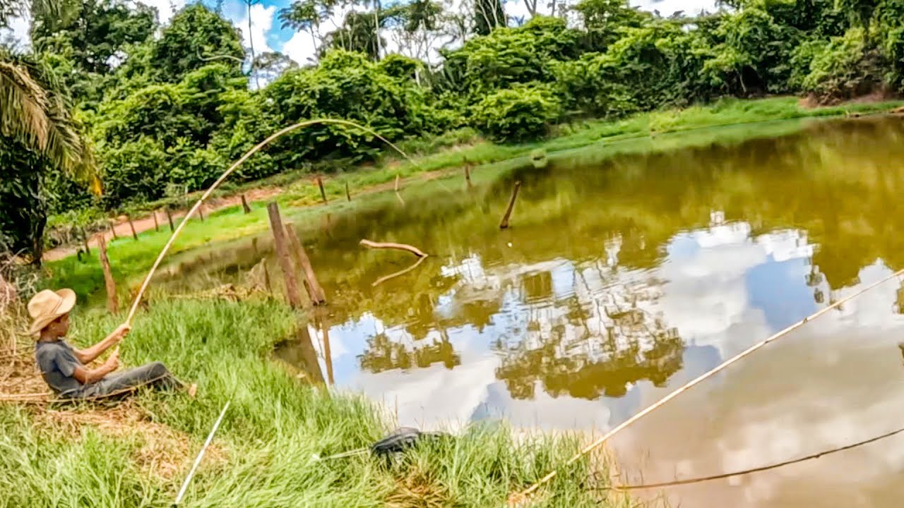 Nunca imaginava isso nessa PESCARIA! Saímos em busca das TRAÍRAS Gigantes do lago