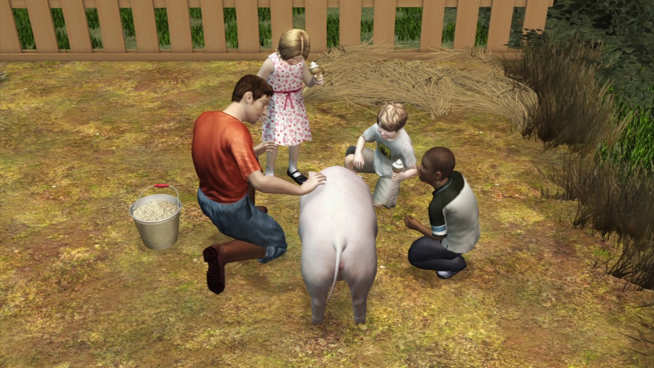Swine flu H3N2v spreads from pigs to humans, humans to humans