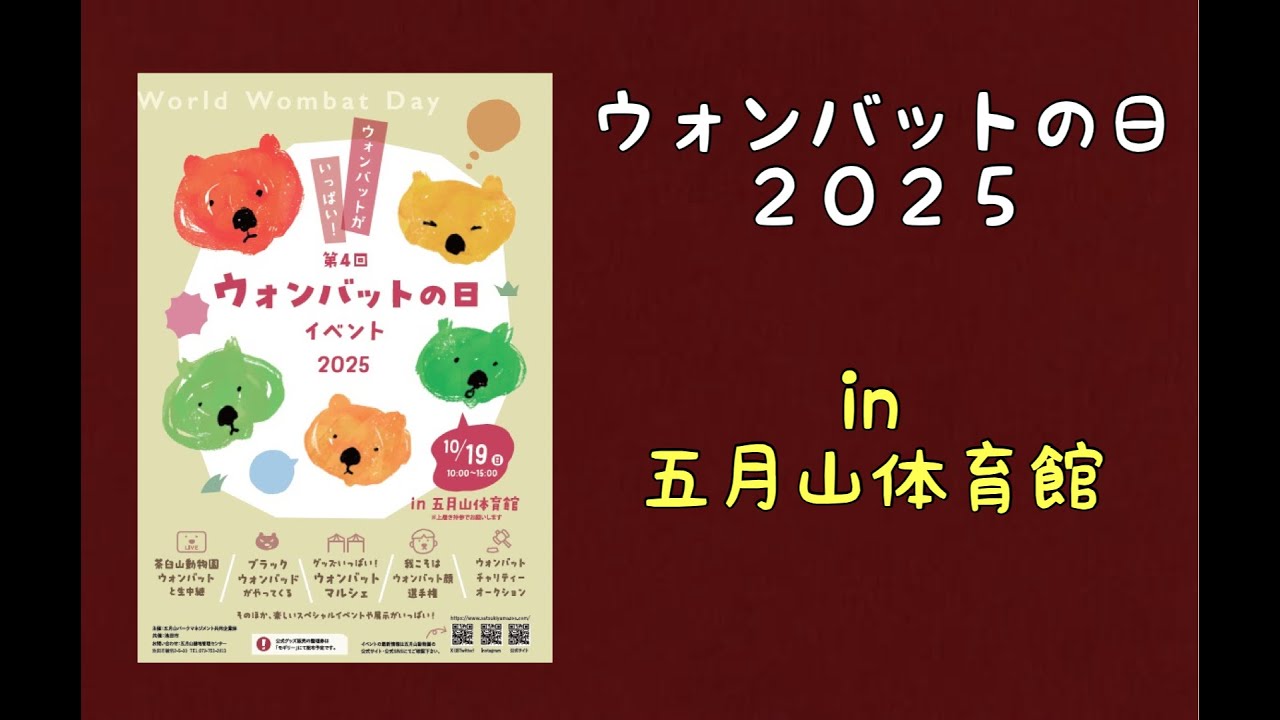 【wombat】ウォンバットの日2025 in 五月山体育館☆(wombat day 2025)