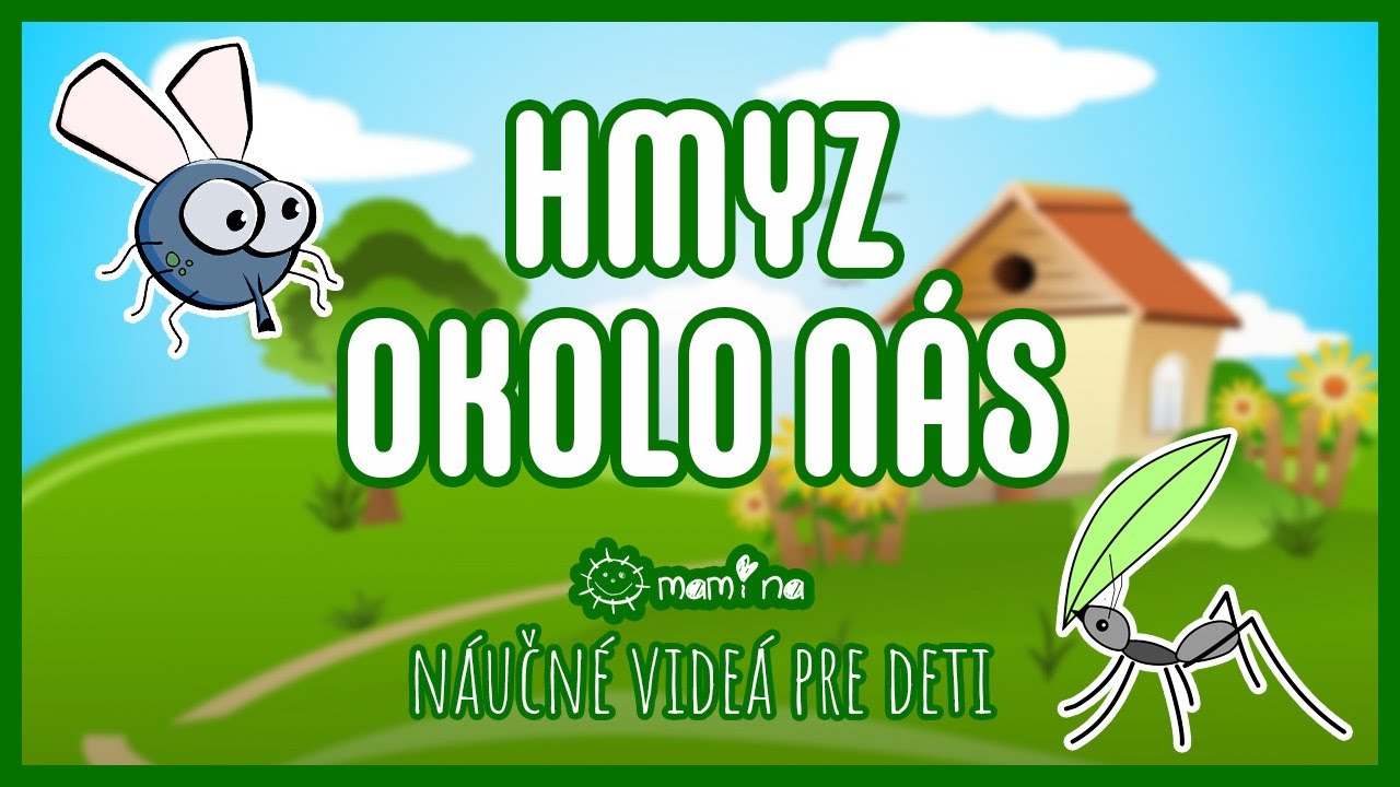 Hmyz okolo nás | maminask:)