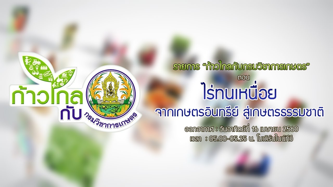ไร่ทนเหนื่อย จากเกษตรอินทรีย์ สู่เกษตรธรรมชาติ