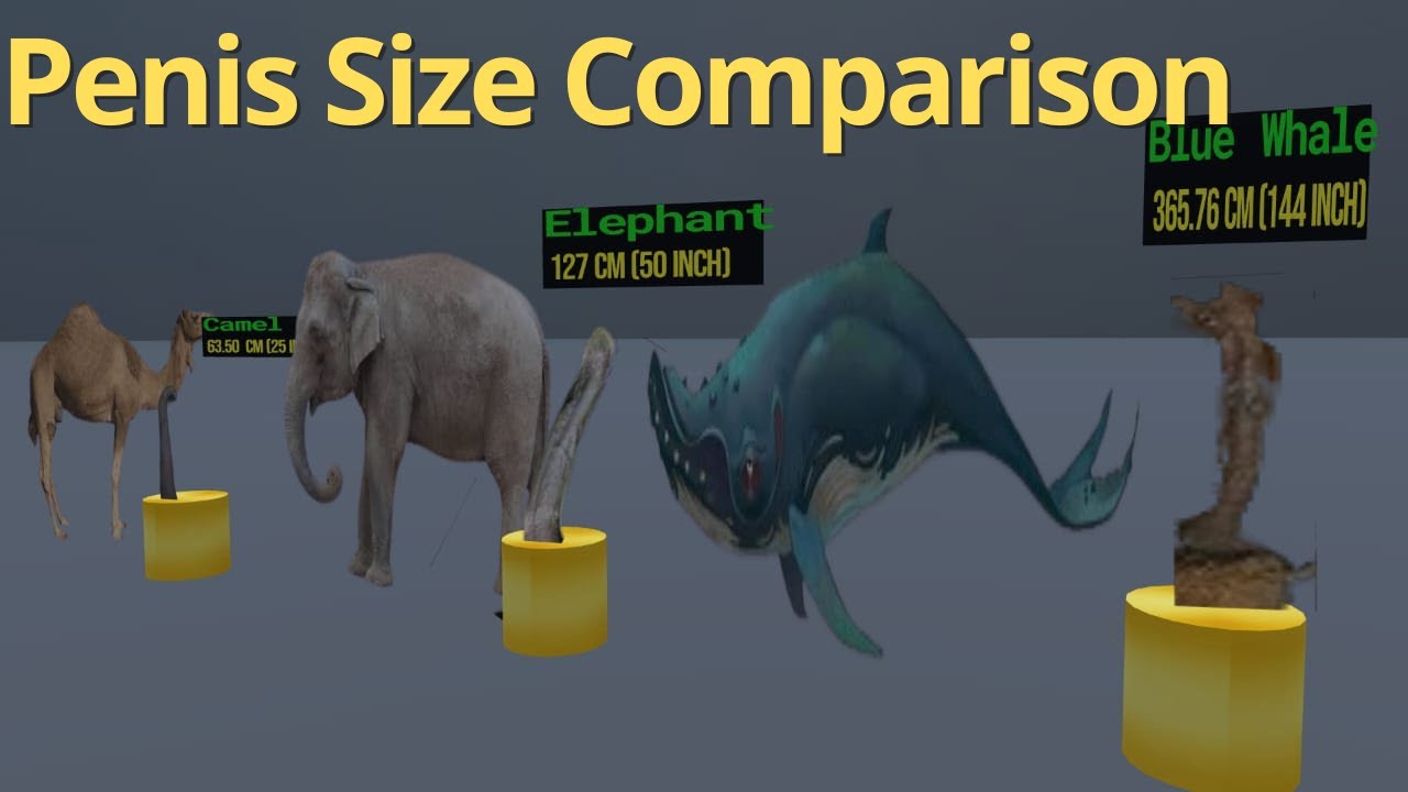 Size Matters: Exploring the Diverse World of Genitalia in Nature