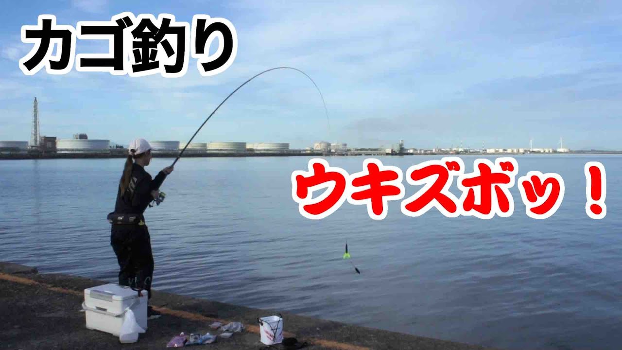 GO!GO!九ちゃんフィッシング #645　「カゴ釣りで狙うビッグアジ+α！ 新潟東港第2東防波堤 第一弾」