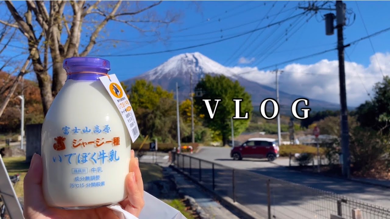 일본 VLOG | 후지산 보며 캠핑 | 시라이토 폭포 | 단풍 구경은 핑계고 도쿄 타워구경 | 늦은 크리스마스 이야기