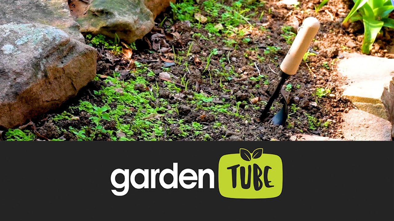 5 Tips To Keep Weeds Under Control