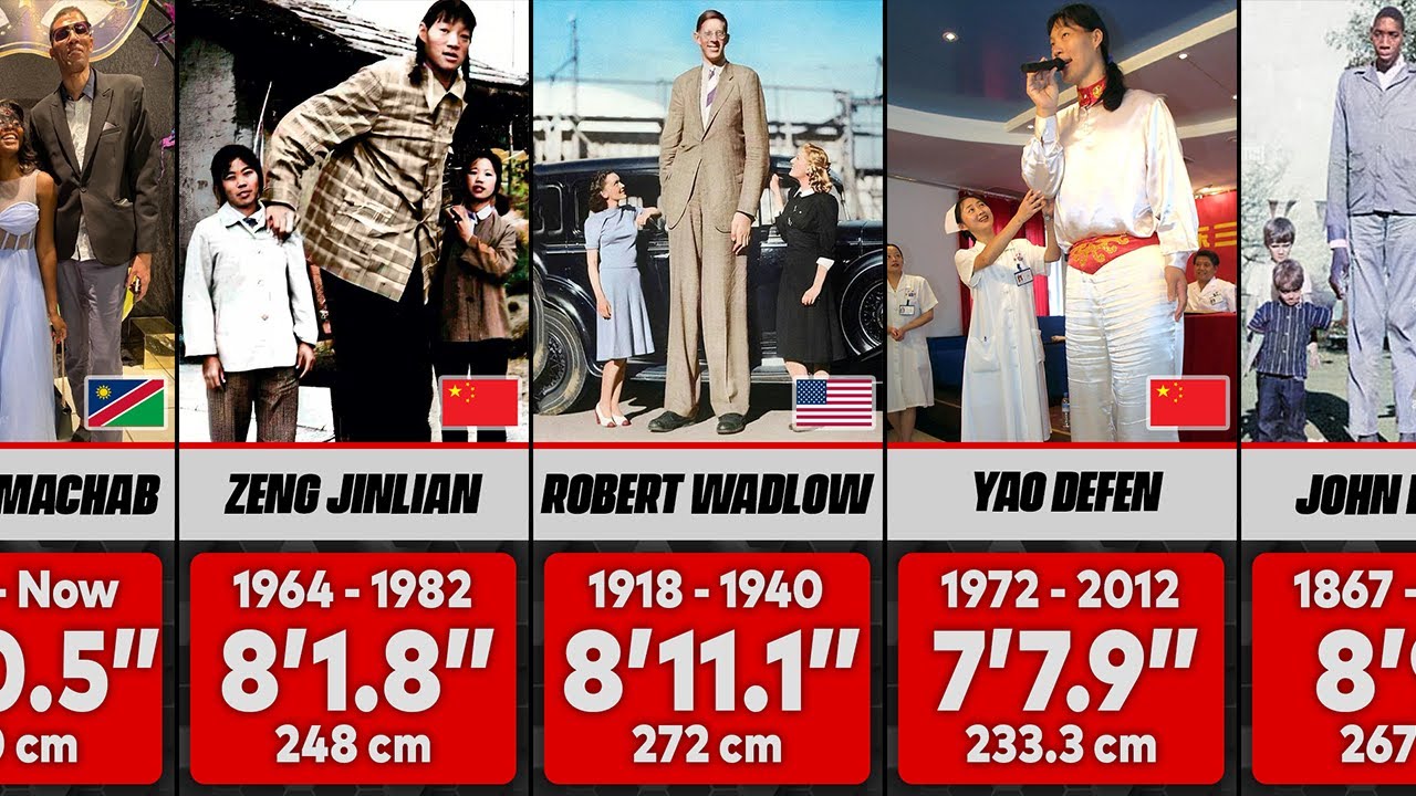 Tallest People in the World - Height Comparison