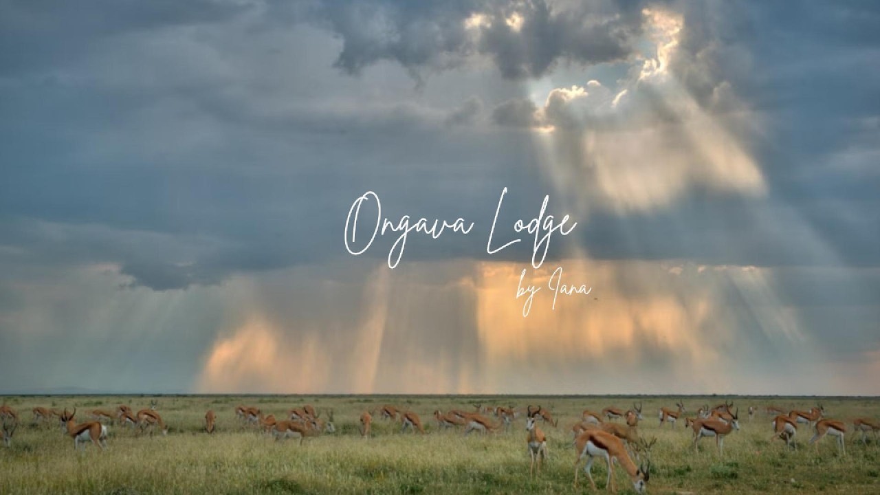Ongava Game Reserve : Le sanctuaire sauvage de la Namibie | Des Routes & des Rêves by Iana