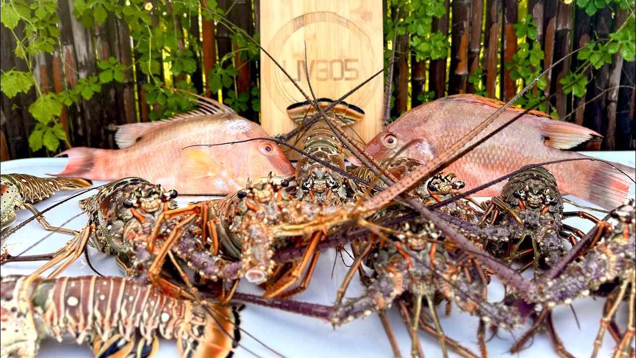 Lobstering with The Brownie’s Third Lung