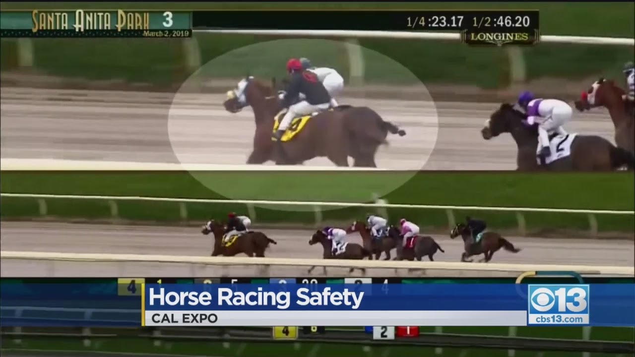 UC Davis Team Looks To Find How 30 Horses Died In Santa Anita