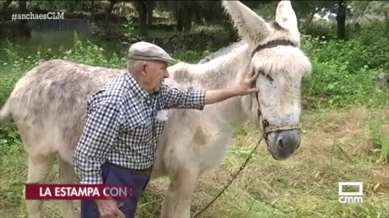 Labores del campo a la antigua usanza