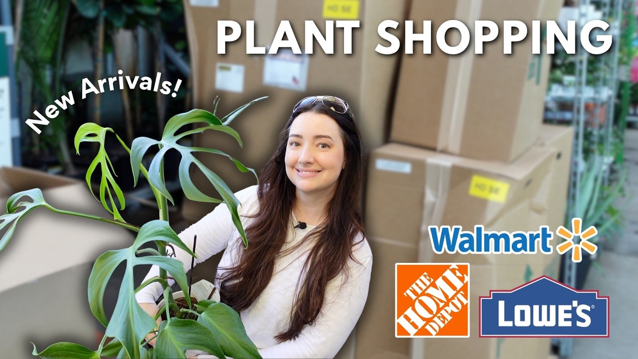 I Checked 4 Stores...Big Box Plant Shopping Surprises 👀🌿