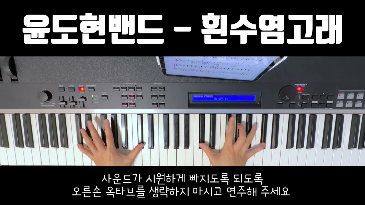 윤도현밴드(YB)-흰수염고래 밴드반주 | 피아노악보
