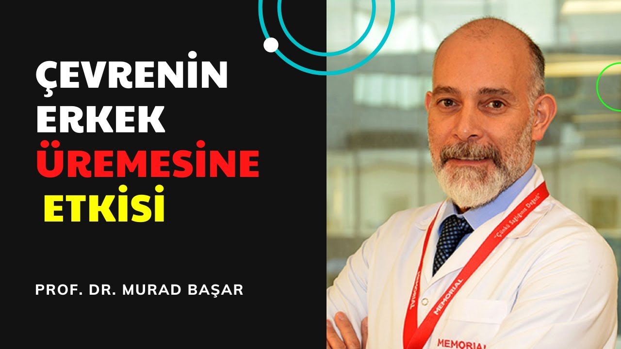 &Ccedil;EVRENİN ERKEK &Uuml;REMESİNE ETKİSİ -  PROF.  DR.  MEHMED MURAD BAŞAR