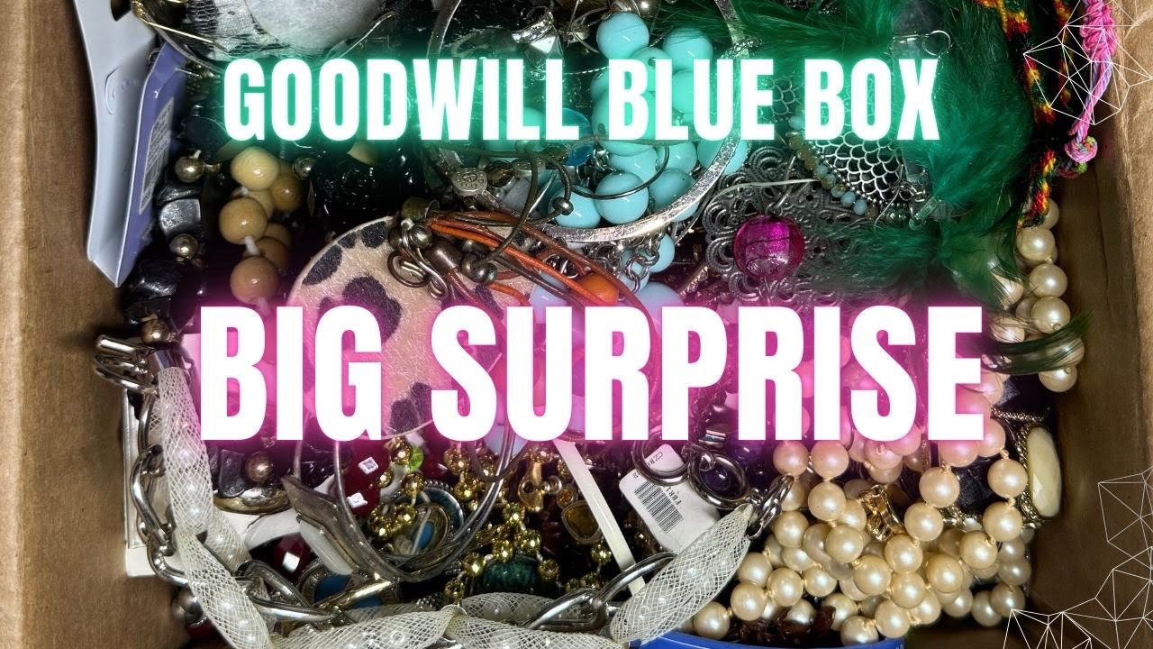 Goodwill Bluebox Jewelry Unboxing from Ohio- Some Surprises