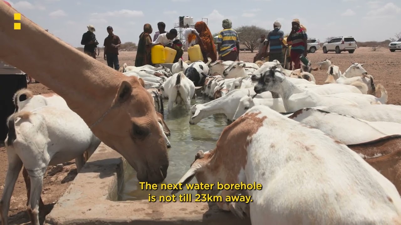 Deep Borehole Well Brings Life to Wajir | Sustainable Water in Kenya