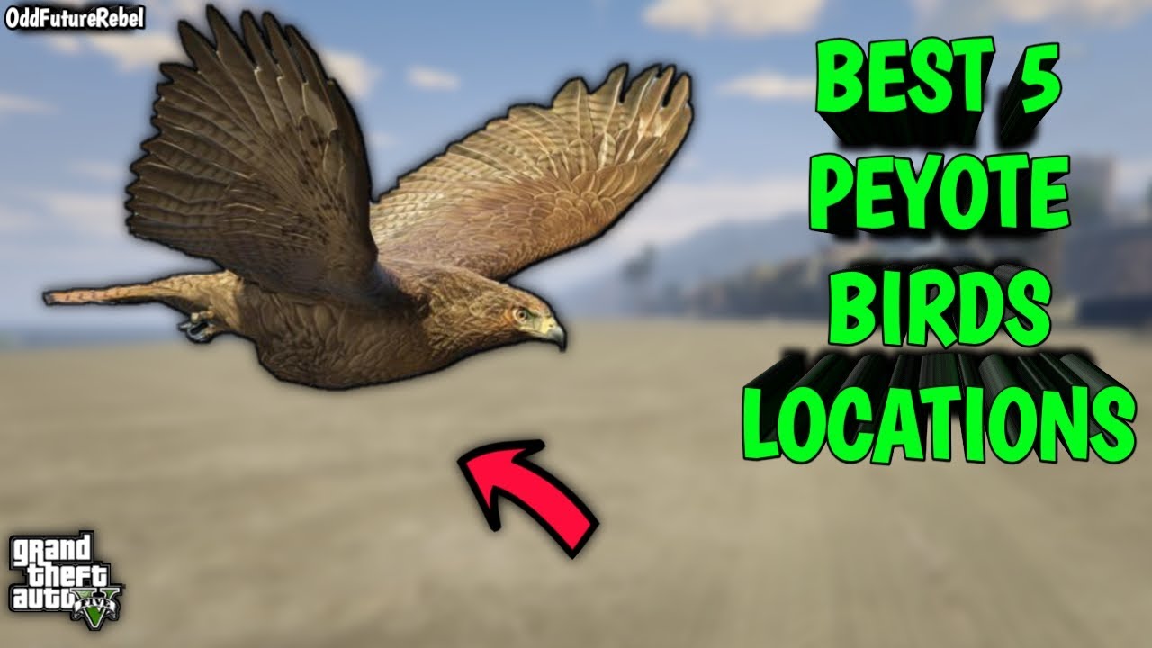 TOP 5 *BEST EASY* PEYOTE BIRDS LOCATION - GTA 5 STORY MODE (FOR DIRECTOR MODE GLITCH)