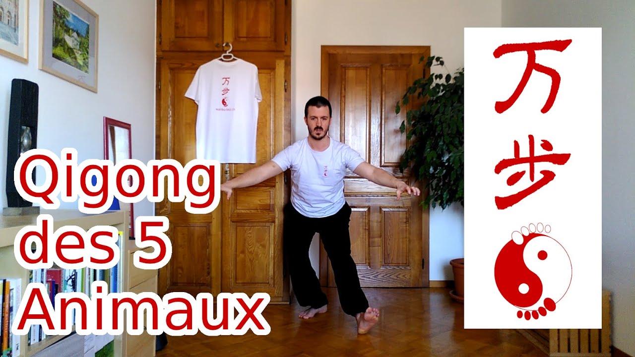 Qigong des 5 animaux (Wu Qin Xi - 五禽戏) - Wanbu Taiji
