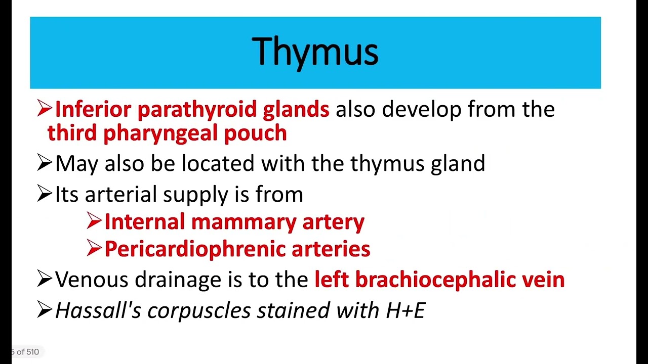 Hassall's corpuscles pathology MRCS question solve (CRACK MRCS)