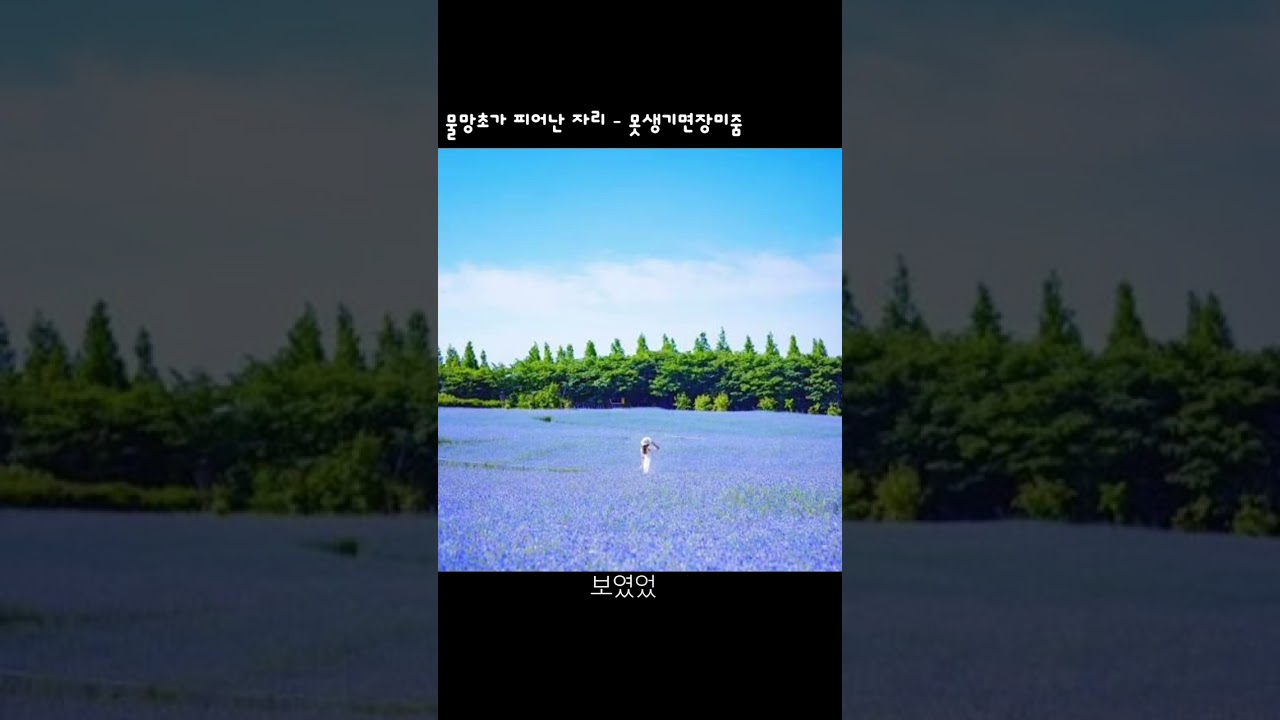 물망초가 피어난 자리 -  못생기면장미줌