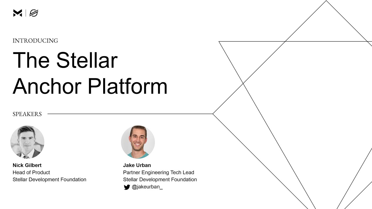 Introducing the Stellar Anchor Platform