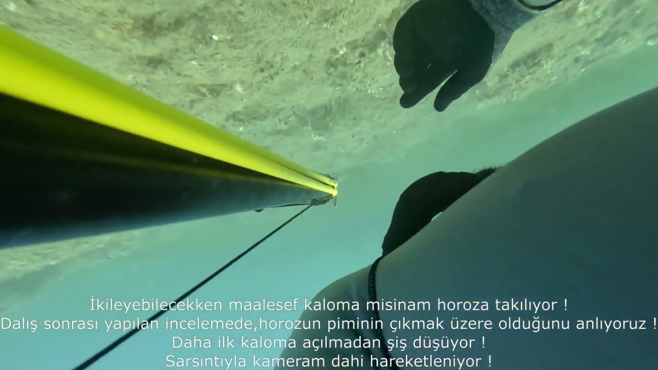 Zıpkınla Balık Avı Kuşadası 12